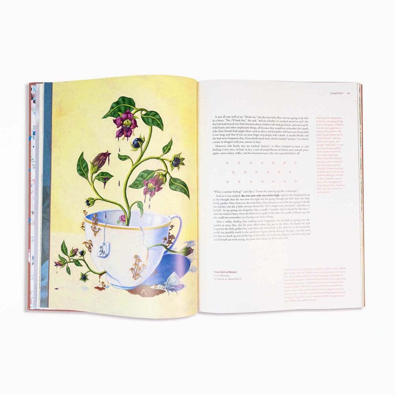 Alice in Wonderland Art NovelTM