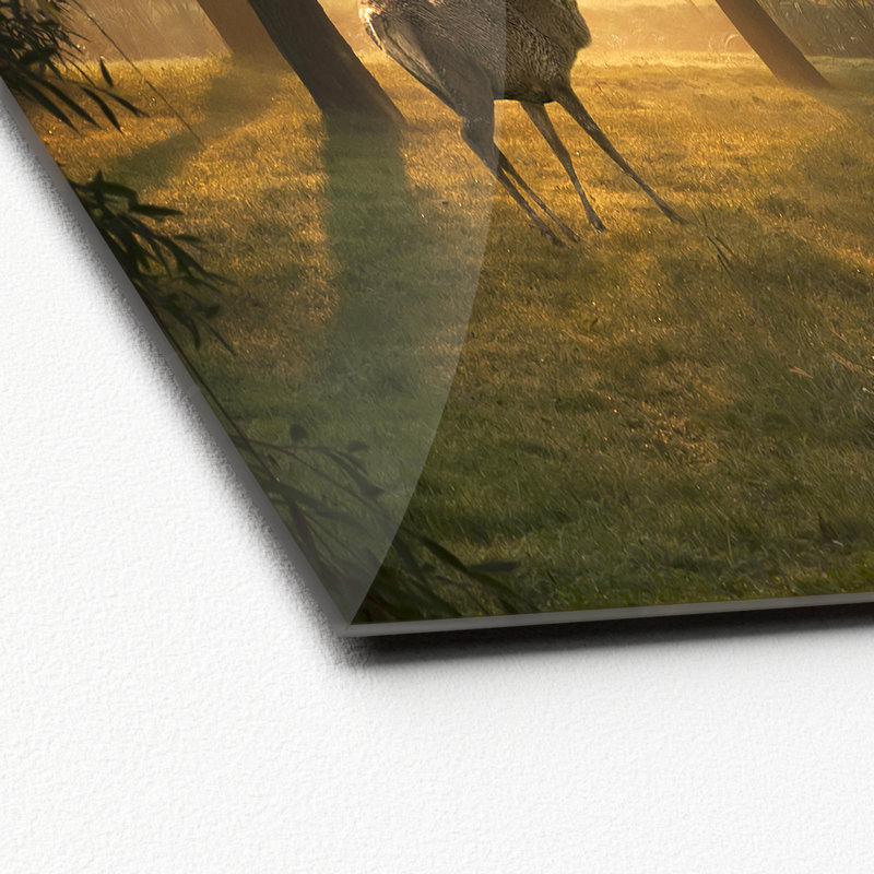 Deer & Sun - No Frame Print on Glass, 80cm H x 80cm W