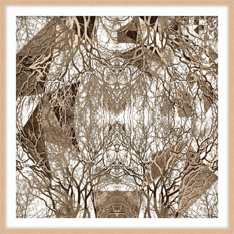 A Forest In Echo 2 Print by Art House Studios, 26" H x 26" W x 2" D