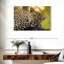 Leopard On A Tree-107854258