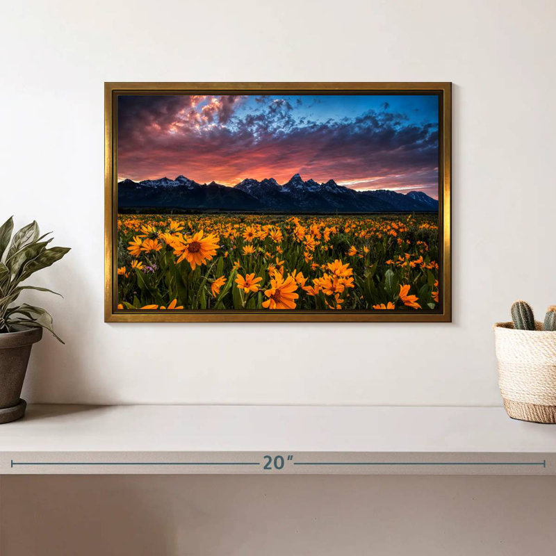 Grand Teton Wildflowers, Cadre flottant doré, 13 po x 9 po