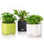 Cube Pot Planter-16493165