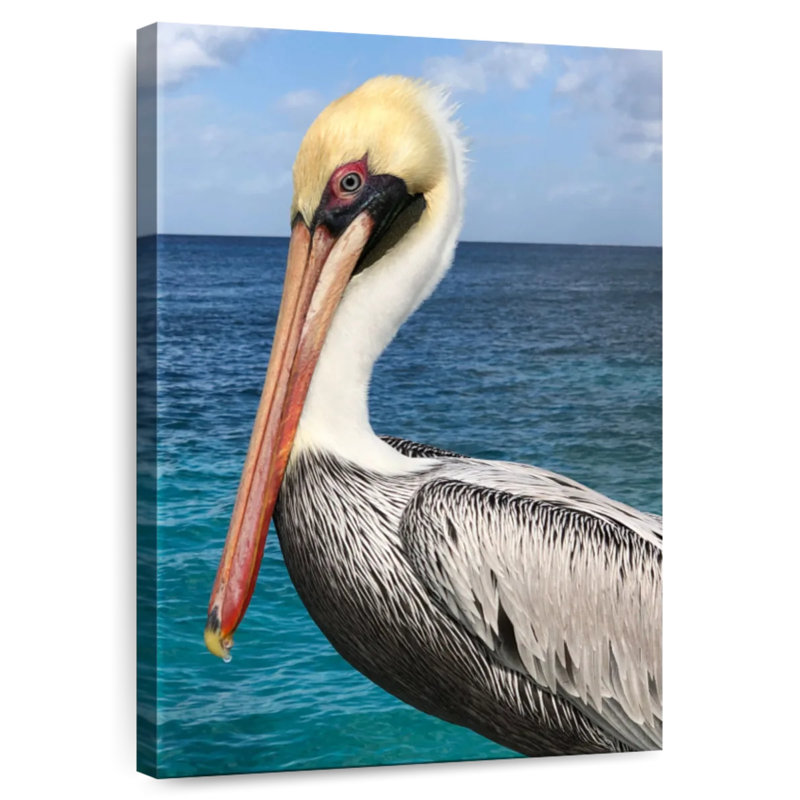 Brampt Pelican Profile, 39" H x 26" W