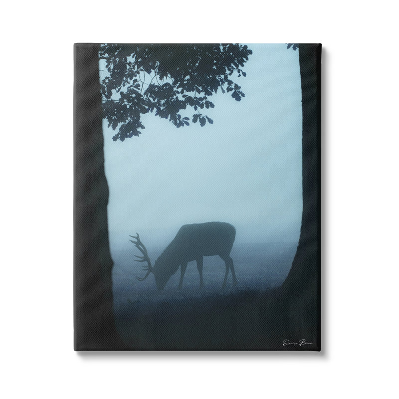 Silhouette de cerf entre les arbres et la faune de la forêt brumeuse par Denise Brown - photographie, L 16 po x H 20 po
