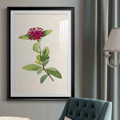 " Pretty Pink Botanicals II "