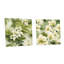 Tranquil Oasis, motif tropical - ensemble de 2 peintures murales en acrylique tropical bord de mer-103920013