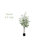 Faux Eucalyptus Tree in Pot-1217613903