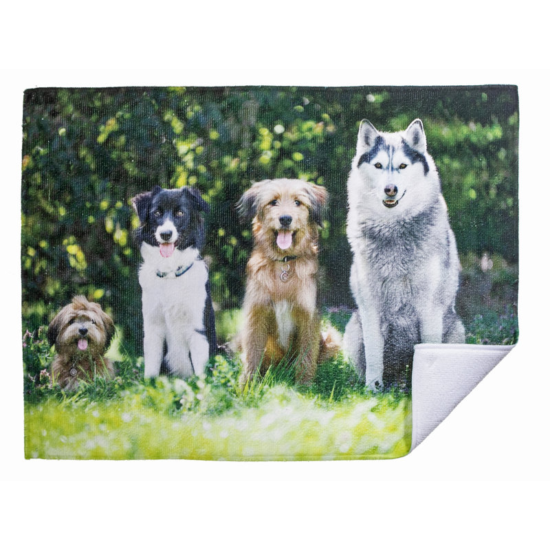 Tapis de séchage en microfibre (ensemble de 2 animaux)