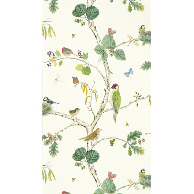 Woodland Chorus Wallpaper