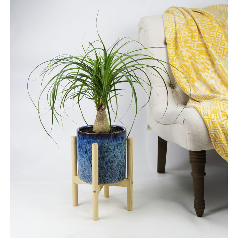 Pot de fleurs en céramique Hinz, Bleu paon / naturel
