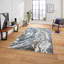 Apollo area rug Machine Woven Rectangle Grey
