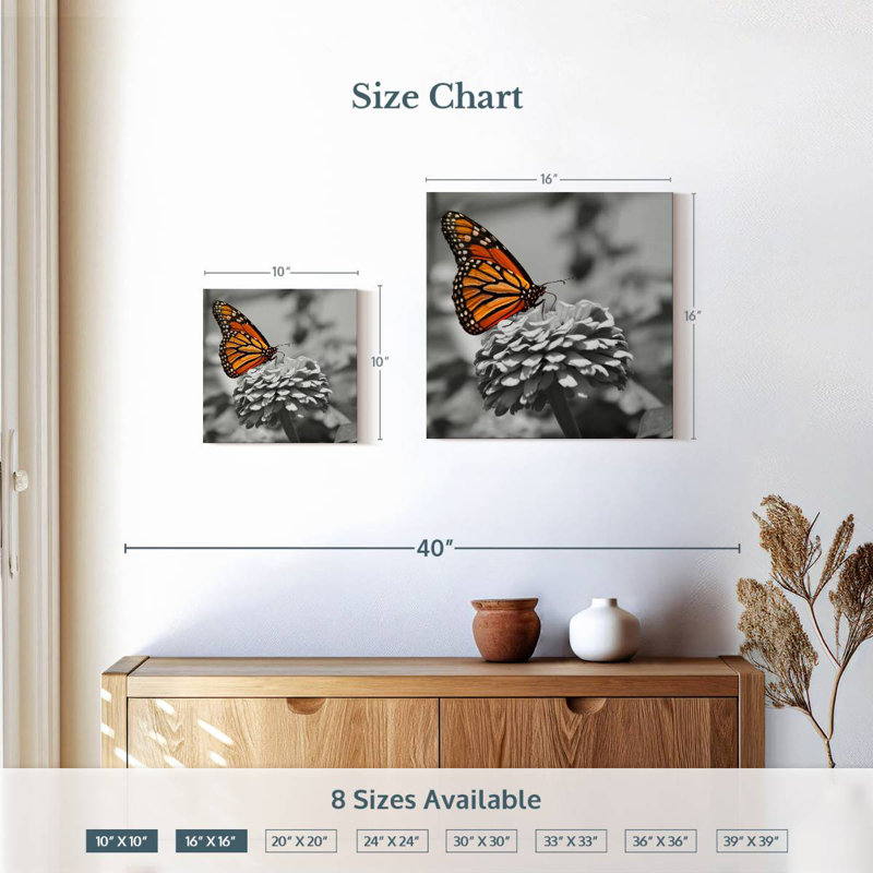Papillon Brampt