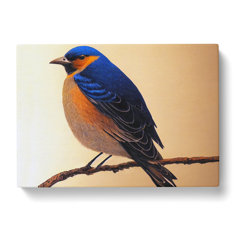 Phenomenal Bird - Wrapped Canvas, 35cm H x 50cm W x 3cm D