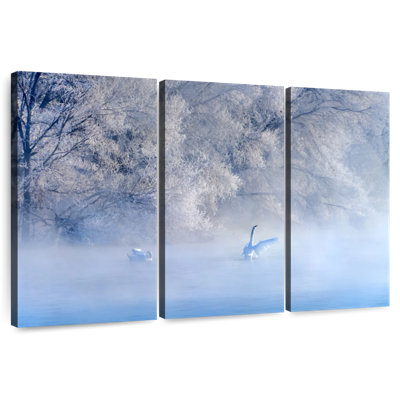 Alvord Swan Lake II