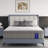 Wayfair Sleep 14" Medium Hybrid Mattress-1602428527