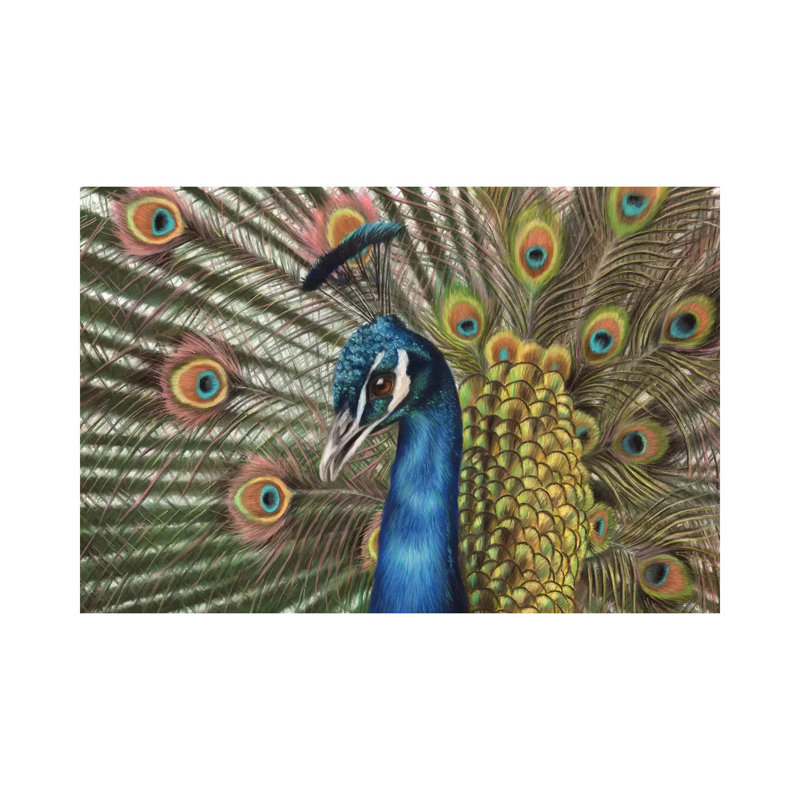 Peacock by Richard Macwee - Gallery-Wrapped Canvas Giclée on Canvas, 20.32 cm H x 30.48 cm W, Canvas