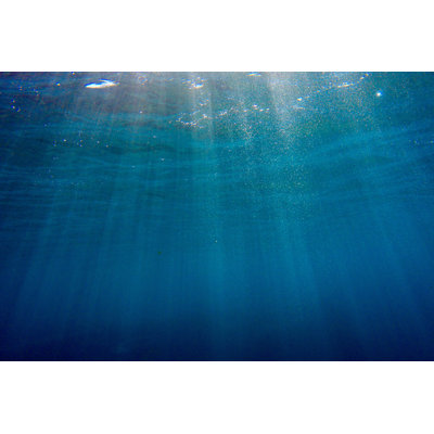 Sunrays in the water