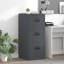 Storage Cabinet-851644745