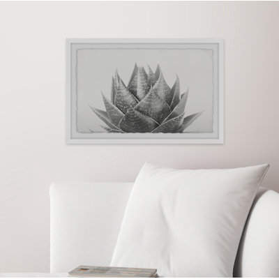 Agave - Single Picture Frame Print