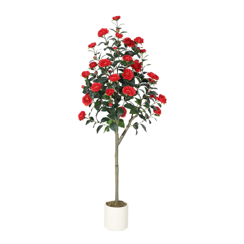 Plant, 21.5cm H x 20cm W x 95cm D