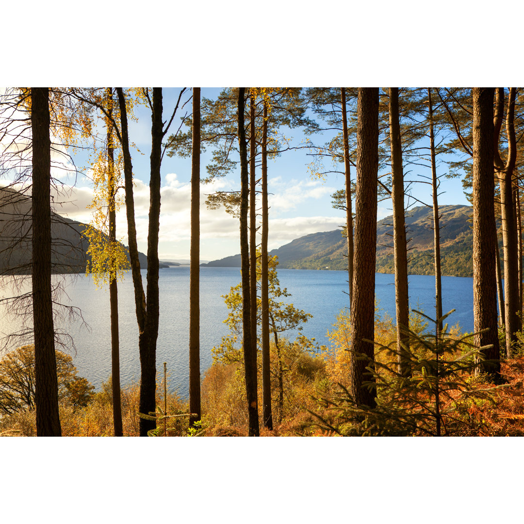 Herbst am Loch Lomond - Fotografie ohne Rahmen auf Leinwand