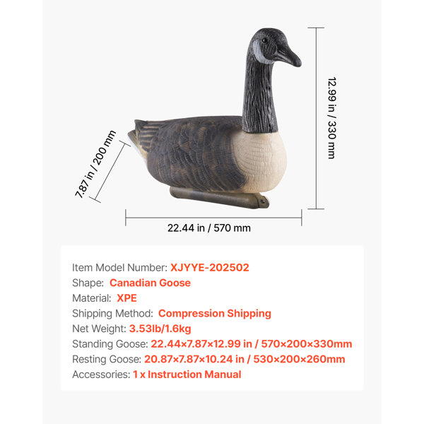 Product Dimensions