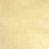 Solid Velvet | Varro Fabric