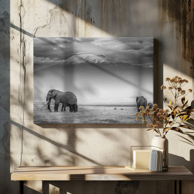 Wrapped Canvas Print