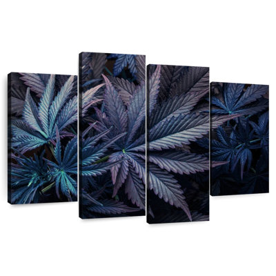 Feuilles de marihuana mauves