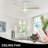 Jare 52'' Ceiling Fan with LED Lights