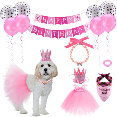 Ensemble de tenue d'anniversaire pour chien