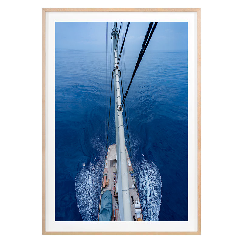 Top Of Mast Print by Frederick, Shawn, Maple Single Picture Framed