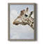 Grumpy - cadre photo, impression sur toile-1910164157-1910164135