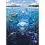 Nemo 1.84m x 254cm Wallpaper Roll