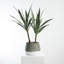 Plante yucca artificielle 34" en pot