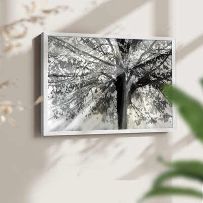 «Story From Light and Shadow», reproduction encadrée