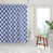 Bleuet des champs