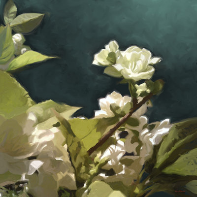 White Roses II - Wrapped Canvas Painting