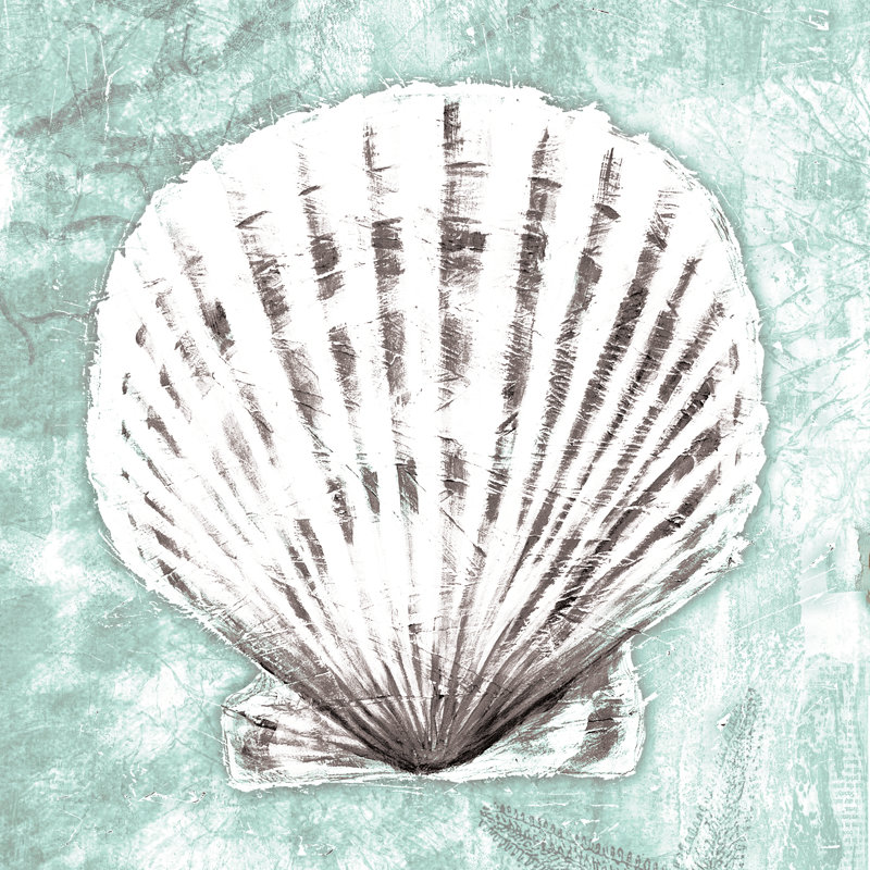 Mint Shell - Wrapped Canvas Print, 30cm H x 30cm W x 3.8cm D