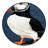 Washable Atlantic Puffin Birds Area Rug-895378936