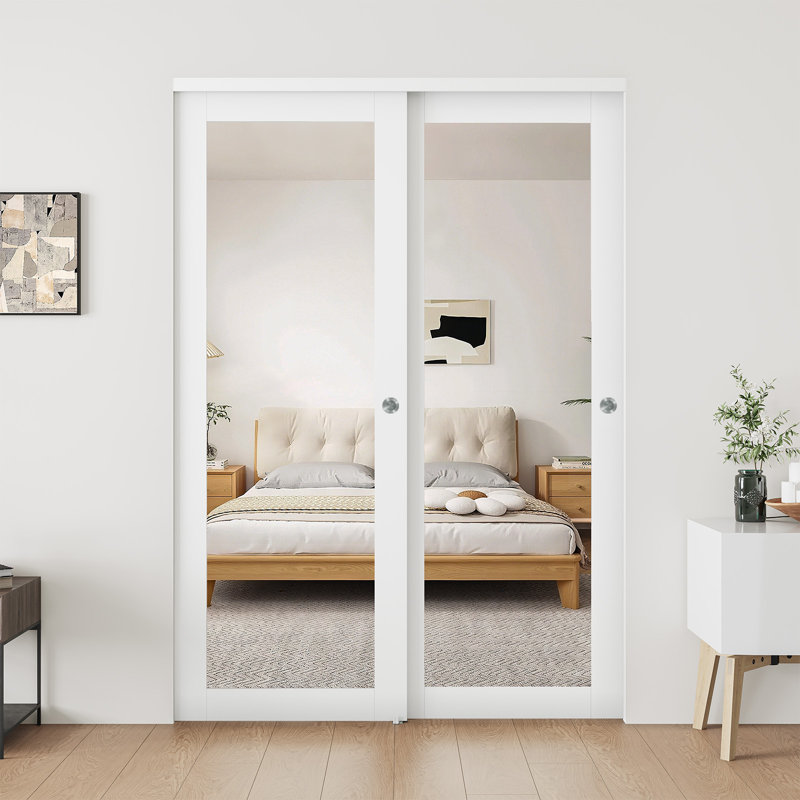 Porte de placard à miroir avec trousse de quincaillerie, aucun assemblage requis, 48 po x 80 po