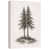 Toile tendue