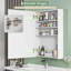 500mm W 700mm H Wall Mounted Required Frameless Medicine Cabinet With Mirror And Adjustable Shelf