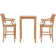 Outdoor 3 - Piece Teak with Cushions
