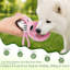 Portable Dog Water Bottle,10 oz with Collapsible Silicone Bowl