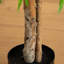 Willow Artificial Tree (Real Touch)-100485926