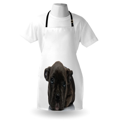 East Urban Home Dog Paws Apron Unisex American Bully Resting Adult Size Charcoal Grey Dimgray