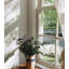 Leaves Window Decal
