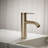 Components Single-Handle Bathroom Sink Faucet-96096566