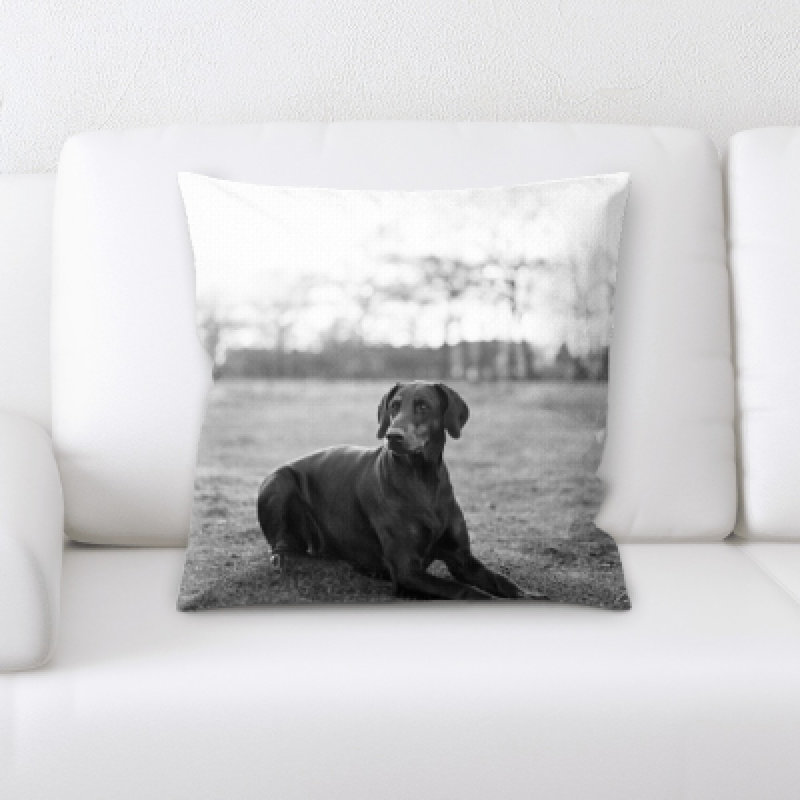 Coussin pour chien